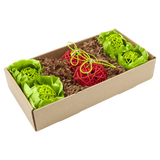 OXBOW ENRICHED LIFE - GARDEN DIG BOX