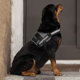 EZY DOG CONVERT HARNESS XXL