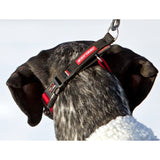 EZY DOG CHECKMATE COLLAR BLACK XL