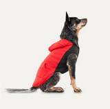 GOOEEZ HOODED FLEECE XS RED