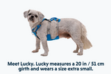 RUFFWEAR FLAGLINE HARNESS MED BLUE DUSK