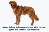 RUFFWEAR FLAGLINE HARNESS L/XL SALMON PINK