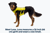 RUFFWEAR TRAIL RUNNER VEST SM LICHEN GREEN
