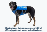 RUFFWEAR TRAIL RUNNER VEST MED BLUE POOL