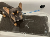TALL TAILS BATH LEASH