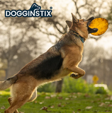 DOGGINSTIX UFO