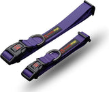 SMELLY DOGZ COLLAR - LRG