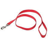ANIPET 1" LEAD - 6'