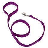 ANIPET 3/4" LEAD - 6'