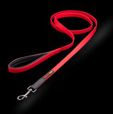SMELLY DOGZ 3/4" LEAD - 6'