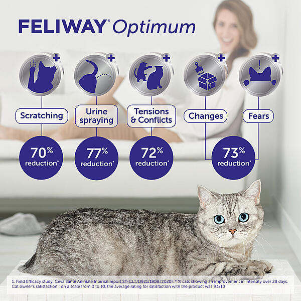 FELIWAY Optimum / Products / Feliway