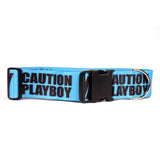 YELLOW DOG CAUTION COLLAR - MED