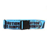 YELLOW DOG CAUTION COLLAR - MED