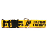 YELLOW DOG CAUTION COLLAR - MED
