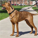 COASTAL CONTROL HARNESS