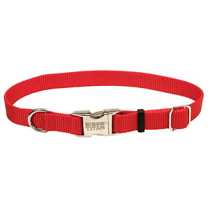 COASTAL MB COLLAR LRG [RED]