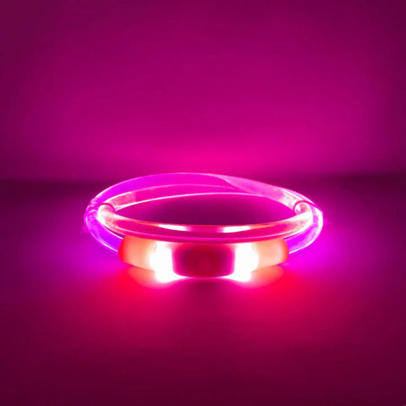 ROCKY MOUNTIAN DOG LED COLLAR PINK