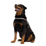 EZYDOG CONVERT HARNESS XL BLUE 90-110LBS