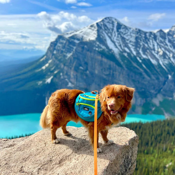 ROCKY MOUNTIAN DOG MOUTAINEER 2IN1 DOG PACK AND HARNESS XLARGE