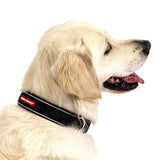 EZY DOG NEO COLLAR ORANGE XLG 21-24"