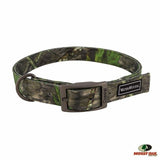 WOODS AND WATER COLLARS