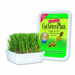 CAT A'BOUT CAT GRASS PLUS