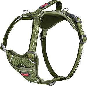 HALTI ANATOMY HARNESS LARGE GREEN