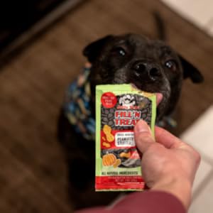 JOLLYPETS FILL'N TREAT PEANUT BUTTER WITH PUMPKIN