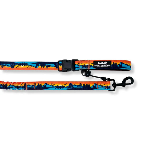 ROCKY MOUNTAIN DOG ALL MOUNTAIN LEASH 8' BANFF