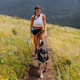 ROCKY MOUNTAIN DOG HANDS FREE WP LEASH BAY CHESTNUT