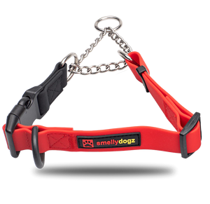 SMELLY DOGZ MARTINGALE LARGE RED