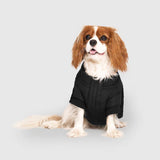 CANADA POOCH COOL FACTOR HARNESS SIZE 12 BLACK