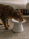 DEXYPAWS ELEVATED CAT PLATE CERAMIC WHITE