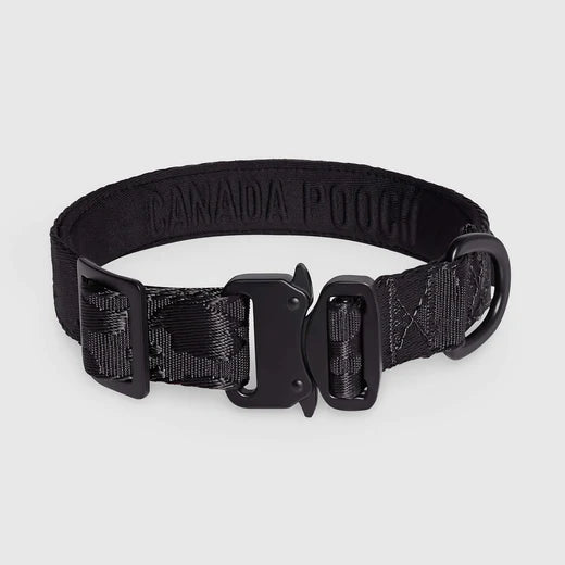 CANADAPOOCH UTILITY COLLAR BLACK MED