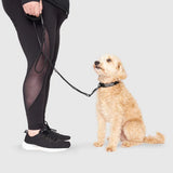 CANADAPOOCH UTILITY LEASH BLK L/XL