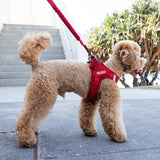 EZYDOG FORMFIT HARNESS BLACK SMALL 8-13LBS