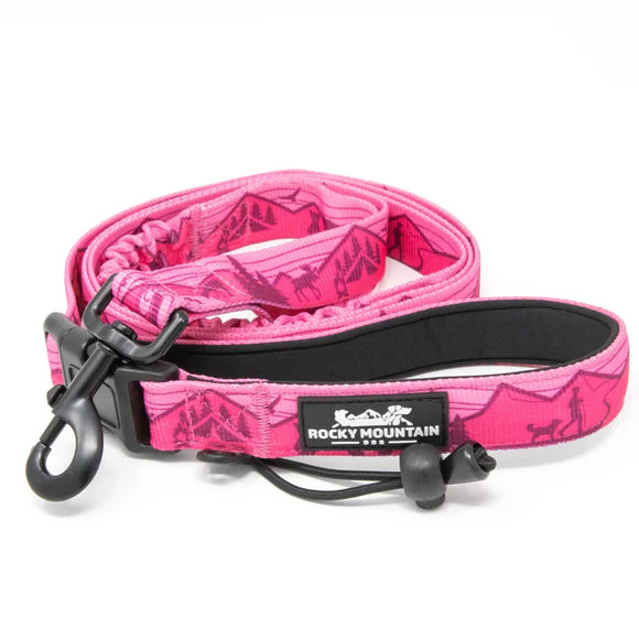 ROCKY MOUNTAIN DOG ALL MOUNTAIN LEASH 8' CASCADE