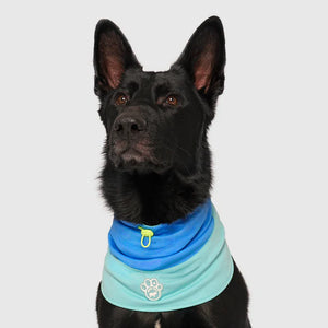 CANADA POOCH MAX CHILL COOLING SNOOD LARGE BLUE