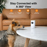 INSTACHEW PURRSIGHT 360