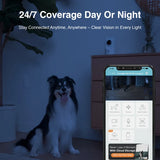 INSTACHEW PURRSIGHT 360