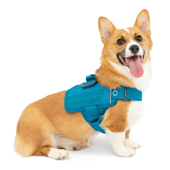 KURGO TOWNIE HARNESS BLUE MED