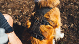 RUFFWEAR RIDGELINE HARNESS MEDIUM
