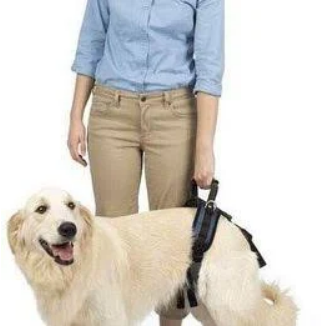 PET SAFE REAR SUPPORT HARNESS