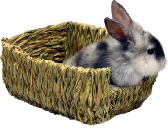 MARSHALL PETERS GRASS PET BED