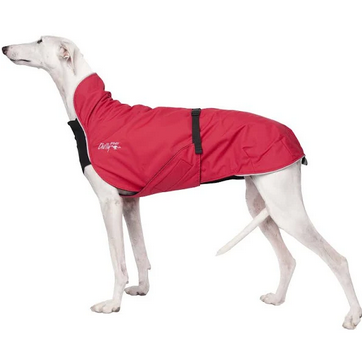 CHILLY DOGS ALPINE LONG N LEAN BLAZER 31