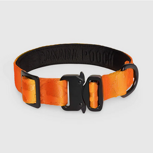 CANADAPOOCH UTILITY COLLAR ORANGE MED