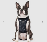 CANADA POOCH NO-PULL HARNESS SM