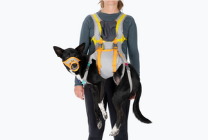 RUFFWEAR BACKTRAK EVAC KIT LRG