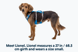 RUFFWEAR FLAGLINE HARNESS MED BLUE DUSK