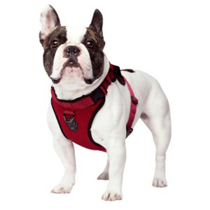 CANADAPOOCH CONTROL HARNESS RED MED